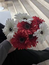 картинка Хайван0.2 от Квест Батл